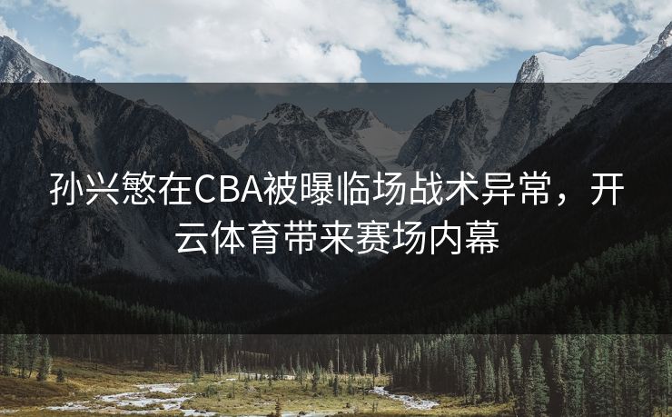 孙兴慜在CBA被曝临场战术异常，开云体育带来赛场内幕