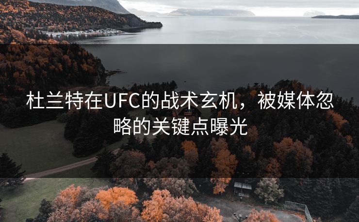 杜兰特在UFC的战术玄机，被媒体忽略的关键点曝光