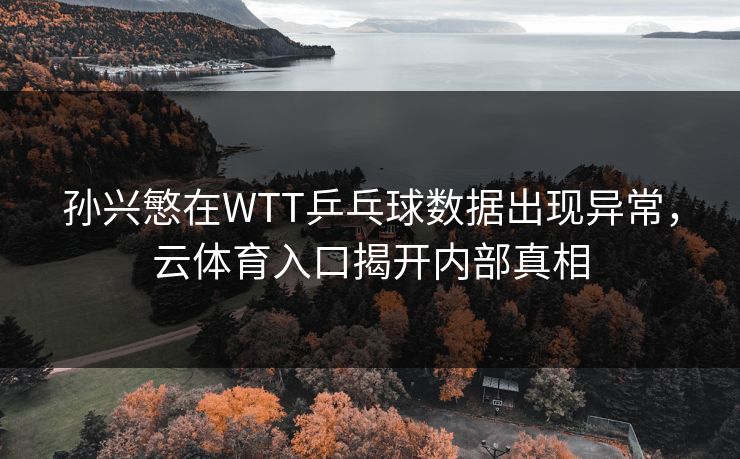 孙兴慜在WTT乒乓球数据出现异常，云体育入口揭开内部真相